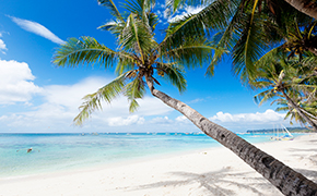 香港3-7日自由行·机票+酒店自助游