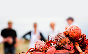 美国东西海岸+夏威夷14-16日